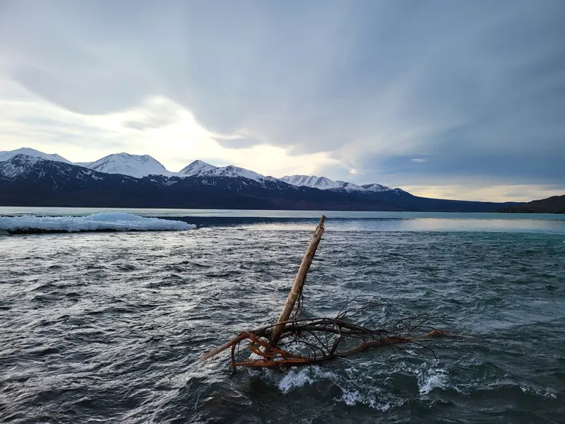 View Of Skilak From Kenai River Outlet