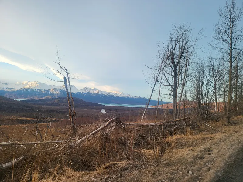 View Of Skilak From Skilak Lake Loop